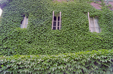 极端奴役支配：驾驭专属座驾，体验人车合一的终极竞速哲学-5