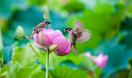 国精产品秘 一区二区-：极限竞速地平线新版本上线，国产性能车强势登场，驾驶体验全面革新-4