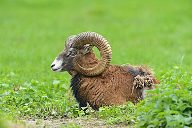 男生和女生一起差差差App：双人竞速新纪元，差异协作引爆极速默契挑战-2