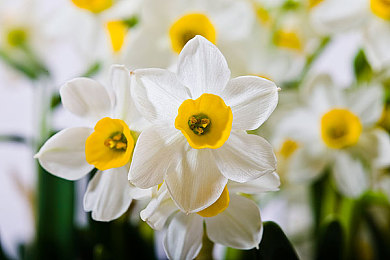 黄色软件下载3.0.3每天无限次破解版大全：极速狂飙3.0.3正式上线，无限挑战模式革新竞速游戏体验-3