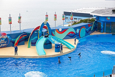 网站你应该知道我说的意思吧：极限竞速地平线新作深度评测，虚拟改装如何重塑真实汽车文化