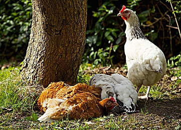 极品馒头一线天：岩隙间的极速平衡，弯道艺术的终极试炼-3