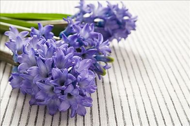 女人与公拘交酡过程:霓虹夜幕下的速度协奏,从对立到共舞的竞速诗篇-2