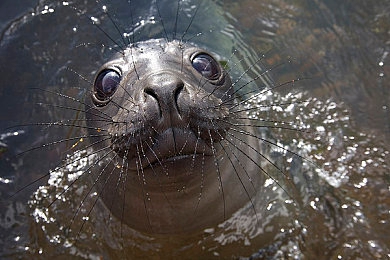 干逼软件:玩家改写驾驶规则,极限车手开放自定义引擎掀起改装热潮-3