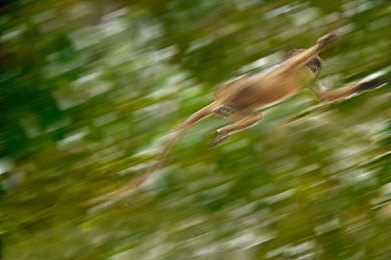 亚日韩一区二区：虚拟赛道文化碰撞，今日揭秘三区竞速攻略与车辆调校秘籍