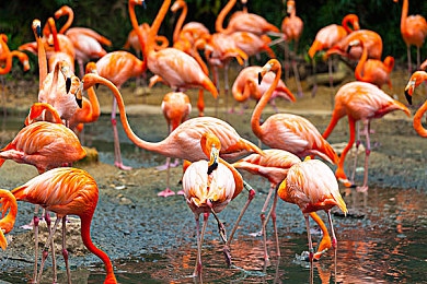 男女上床软件：虚拟司机邂逅都市迷情，车内社交解锁隐秘故事-4