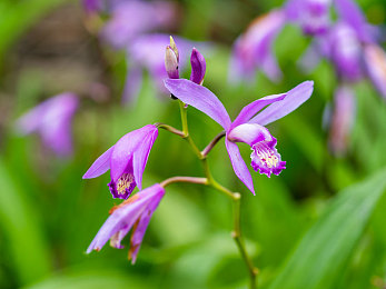 两个男生做爱网站：竞速新作极速交锋双雄纪元上线，双人对抗玩法革新赛车游戏体验