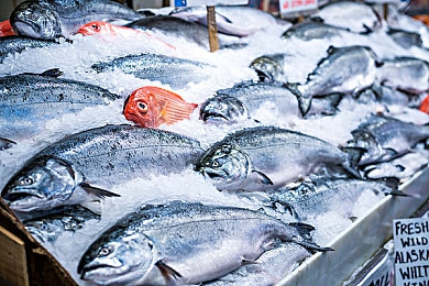 机机对机手机免费版下载安装大全：极速狂飙，实时对决，移动竞速盛宴攻略全解析-2