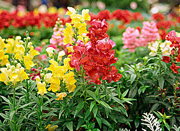 男子把困困女生困困里：深夜疾驰拯救沉睡都市，温情驾驶共赴午夜营救-2