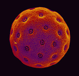 十大禁用应用：竞速游戏暗藏风险，危险驾驶模拟引发社会担忧-4
