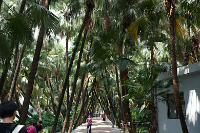 91吃瓜群众:在墨西哥的壮丽风光中,体验非竞赛者的汽车文化观察者之旅-3