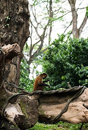 童帝结弦10部必看电影：全新体育模拟游戏今日上线，观影系统解锁花样滑冰传奇生涯-3