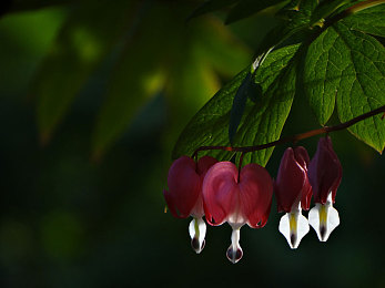 撸了吗:极限竞速地平线5新赛季开启,墨西哥极致驾驶体验与改装攻略全解析-5