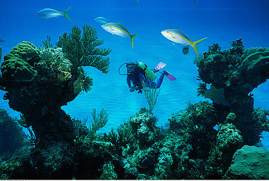 软件网站下载3.0.3免费苹果版破解装扮：街头艺术，你的座驾由你亲手定义与改造-3