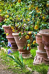 男生和女生差差差：极速对决新赛季上线，性别差异化赛车设计引发玩家热议-2