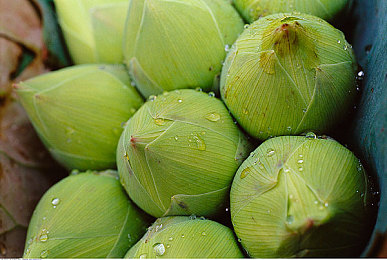 黄色软件下载3.3版本安装：极速狂飙全新版本登场，体验东京夜雨竞速快感-3