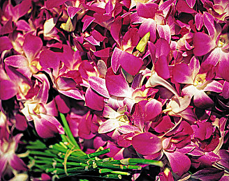 国产成人91 张津瑜：本土竞速新作发布，九十一赛道重塑都市飙车传奇-4