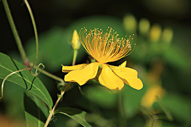 老师让我吃他奶：极速奶爸深度解析，导师系统引领赛车游戏教学新体验-4