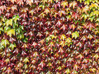 国产av综合：中国制造极速狂飙，改装竞速尽在开放世界-2