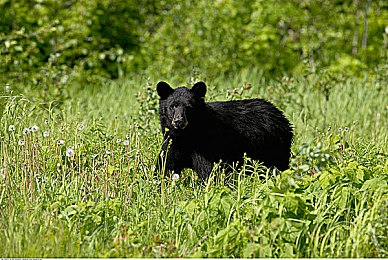 男生把坤坤放进女生的：未来都市竞速战，智能快递争夺开启极速对决-4