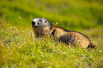 黄三色是哪三色颜色搭配好看图片：赛道美学新潮流，明黄炭黑亮白打造极致竞速视觉-3