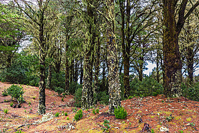 日韩三区：东方竞速新纪元，沉浸式都市赛道与改装美学引爆游戏圈-4