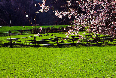 两人打扑克又真的：狂飙赛道上的智慧对决，卡牌策略改写竞速新规则-2
