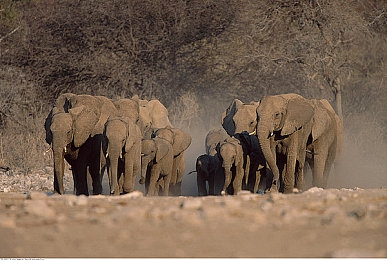 黄色软站：弹性狂欢，失控赛道上的橡胶马戏团-2