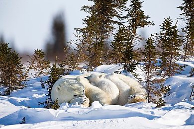 男生女生打扑克痛痛软件：极速牌局今日上线，卡牌策略与竞速驾驶开启全新对决体验-3