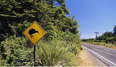 三上悠亚所有作品番号:霓虹夜影传奇车手,解锁山道漂移女王专属座驾-2