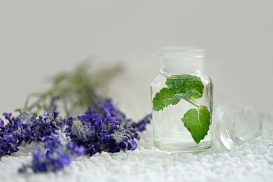 vivo黄色软件免费下载：极限竞速地平线移动版上线，开放世界竞速新体验-4