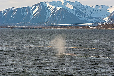 男生对女生做的应用：《心动极速》今日上线，双人驾驶舱用情感引擎重塑竞速默契-3