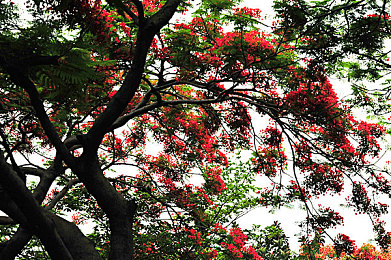 黄色软件软件下载安装：街头涂鸦赛车新版本上线，黄色风暴模式引爆竞速热潮-2