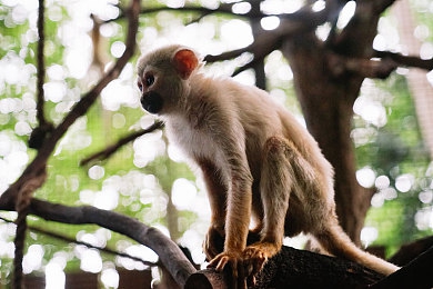 综合网婷婷:虚拟都市飞驰,车手传奇改装之旅-3