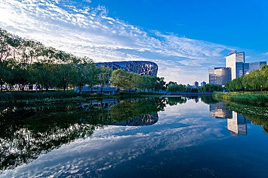 成人暗网：霓虹都市夜幕降临，地下赛车牵出资本阴谋，你的方向盘如何抉择-3