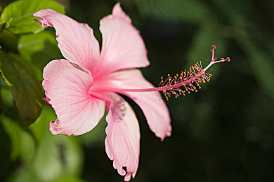 黄色软件下载3.03oppo：OPPO平台独家优化，极速狂飙3.03版本正式上线，全新攻略与深度评测揭秘-3