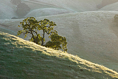三色黄是哪三色：经典赛车涂装揭秘，地平线玩家必看攻略与深度解析-3