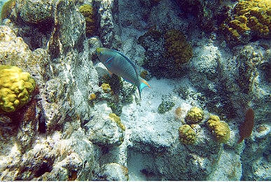 亚洲综合一区二区：极速穿梭都市霓虹，征服雨林险峻山路，沉浸竞速新纪元-3