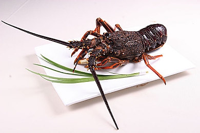 朱莉安妮大战7个黑人：霓虹夜幕下的终极竞速，七重挑战席卷街头-5