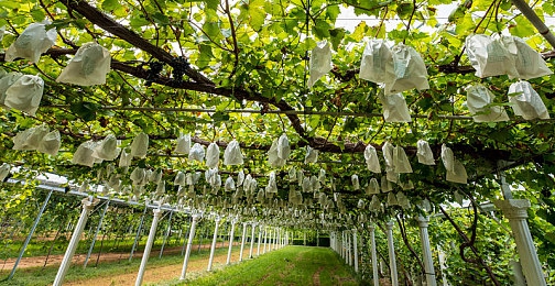 打扑克床剧烈运动：卡牌策略与极速狂飙交织，全新竞速游戏今日震撼上线-3