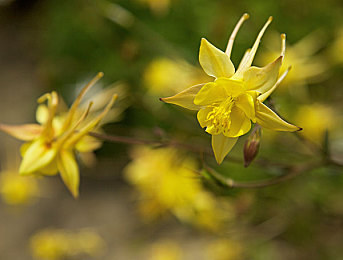 男生和女生一起查查查带疼痛aop下载：痛觉轰鸣，双人协奏，虚拟赛道敬畏之旅-3