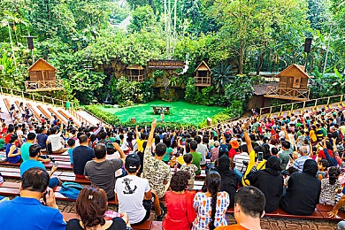 乔巴2d琴弦罗宾：驾驶像素大陆，谱写你的开放世界旋律之旅-3