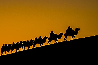 热巴在房车被躁爽H：末日求生新标杆，移动堡垒改装与硬核生存体验全解析-3