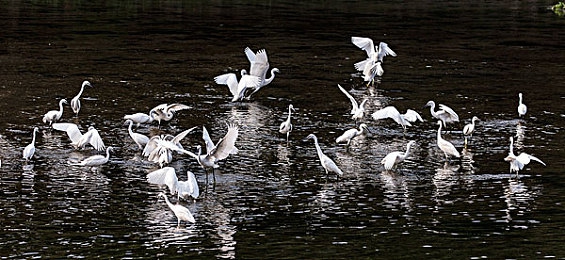 91麻豆天美精东果冻传媒：跨界联动赛车新游发布，多元赛道与创新玩法引爆竞速热潮-3