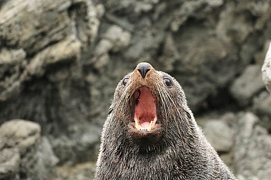 堕落人妻果冻传媒：霓虹记忆赛道，雨夜中的伦理竞速与资本迷局-4