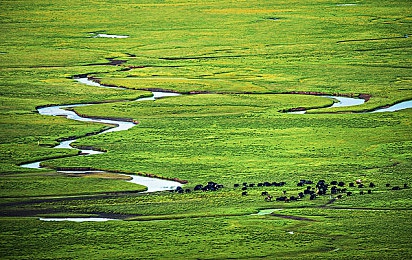 童帝结弦的作品集单挑:竞速游戏全新DLC上线,以花滑艺术重塑赛道体验-2