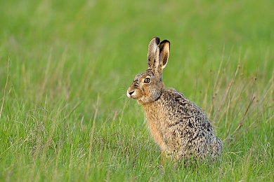 男生和女生一起操应用：极速搭档上线，双人协同驾驶开启竞速新纪元-3