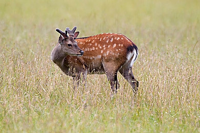 女同性恋做爱网站：极速同驰，双人协奏的赛道共鸣-4