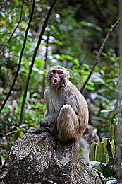 软件下载3.0.3免费OPPO版破解大全苹果,：赛车游戏终极攻略,合法技巧解锁全车辆,告别资源短缺-4