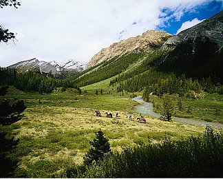史莱姆大战胡挑：软胶萌物与钢铁巨兽的赛道奇袭对决-4